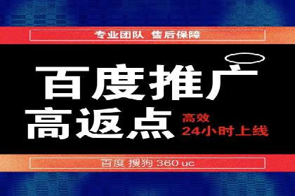 百度推广公司案例解析：如何通过百度推广实现品牌升级